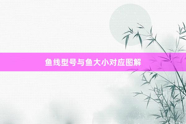 鱼线型号与鱼大小对应图解